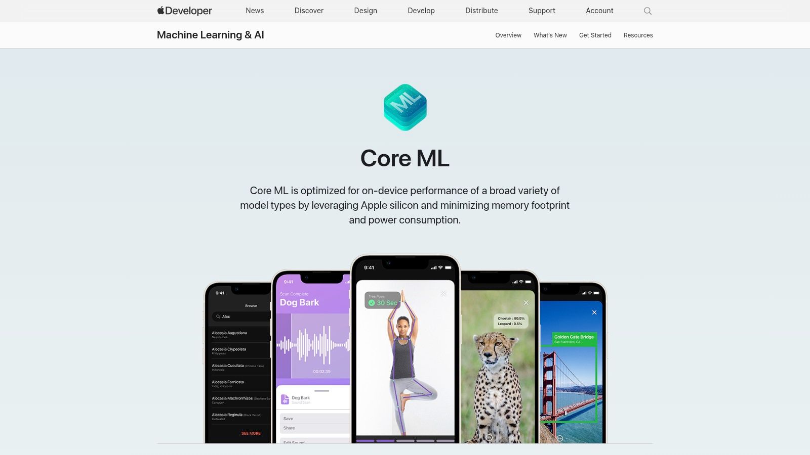 Apple Core ML (Official Developer Site)