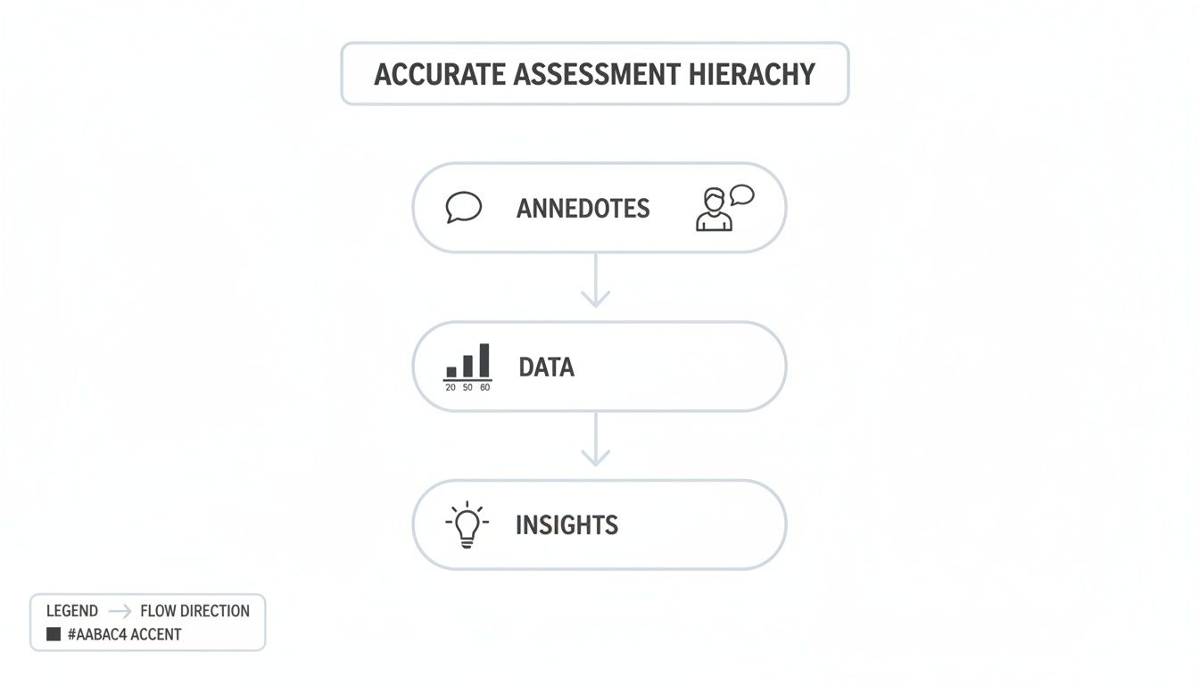 A visual hierarchy illustrating accurate assessment from anecdotes to data, leading to insights.
