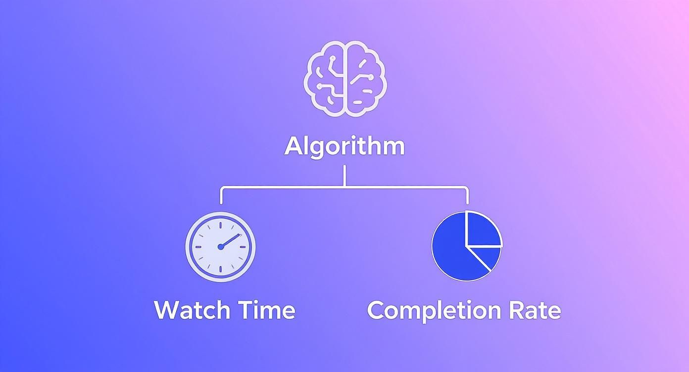 Infographic about instagram reel length