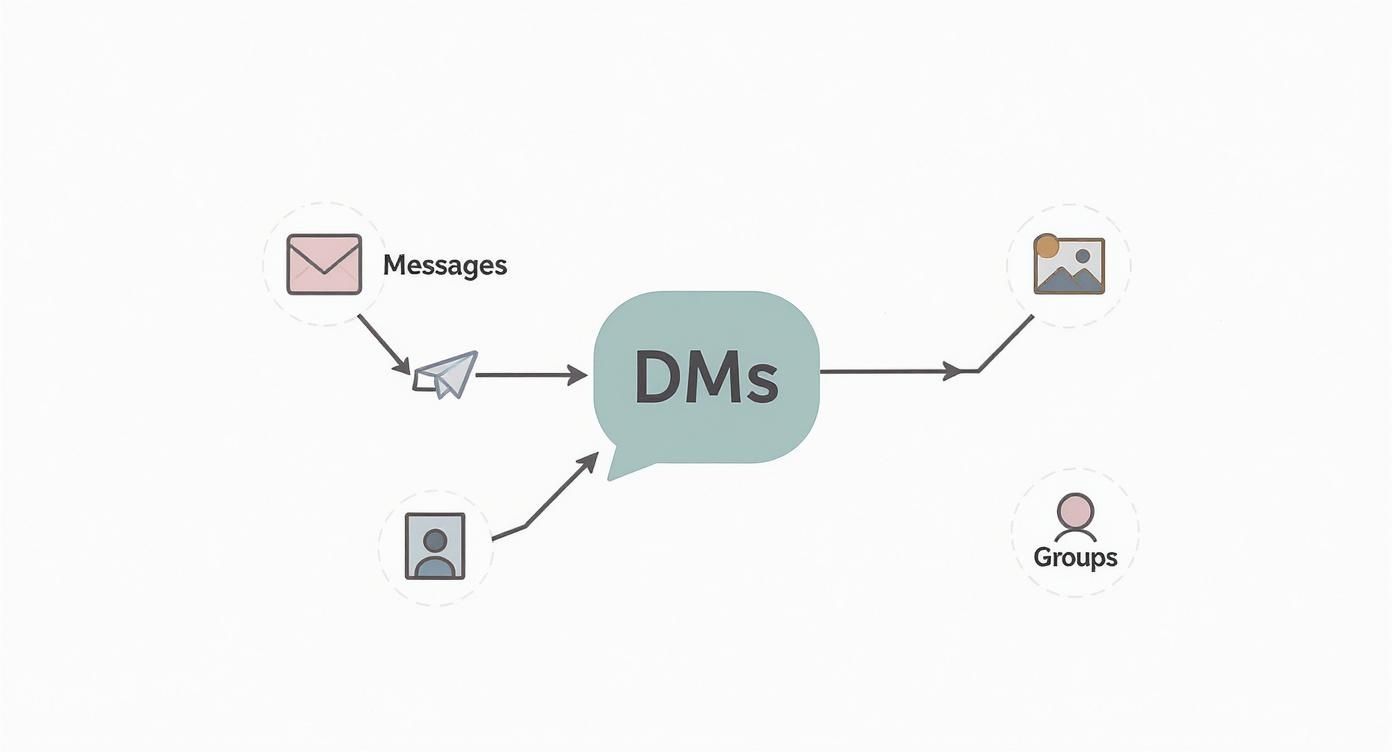 Infographic about was sind dms instagram