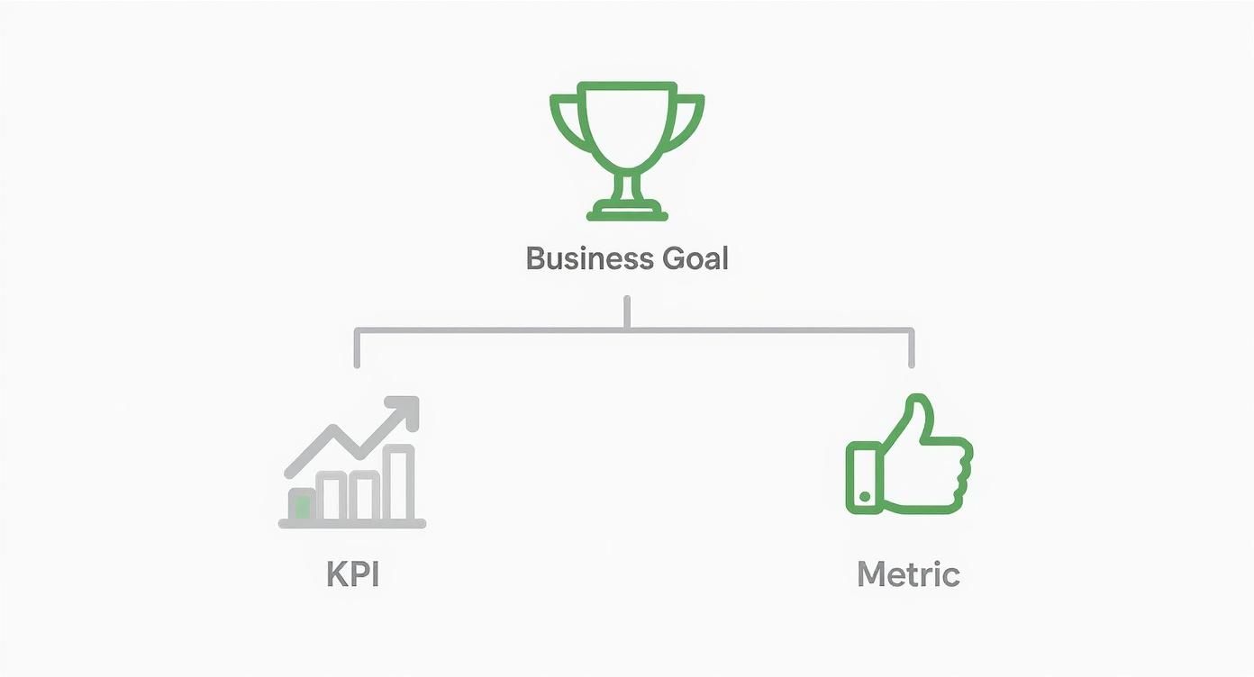 Infographic about social media kpis