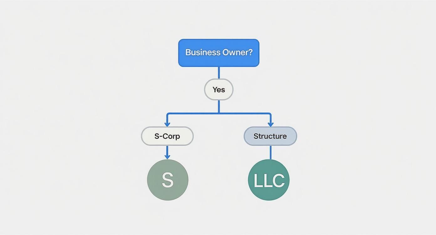 Infographic about tax planning for small business