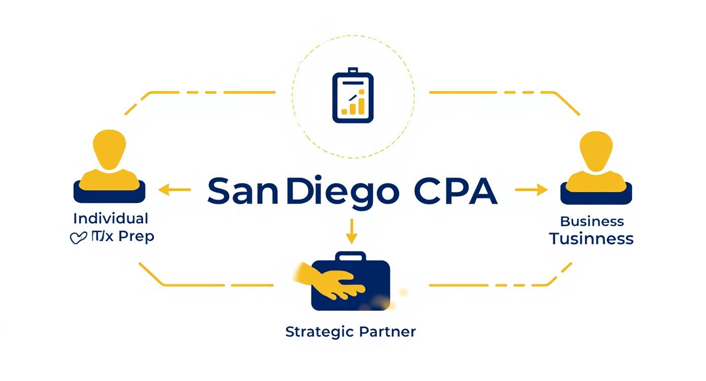 Infographic about cpa in san diego ca