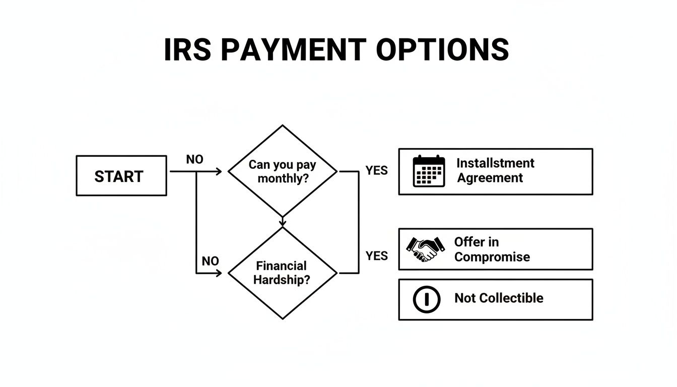 Flowchart illustrating IRS payment options based on ability to pay monthly and financial hardship.