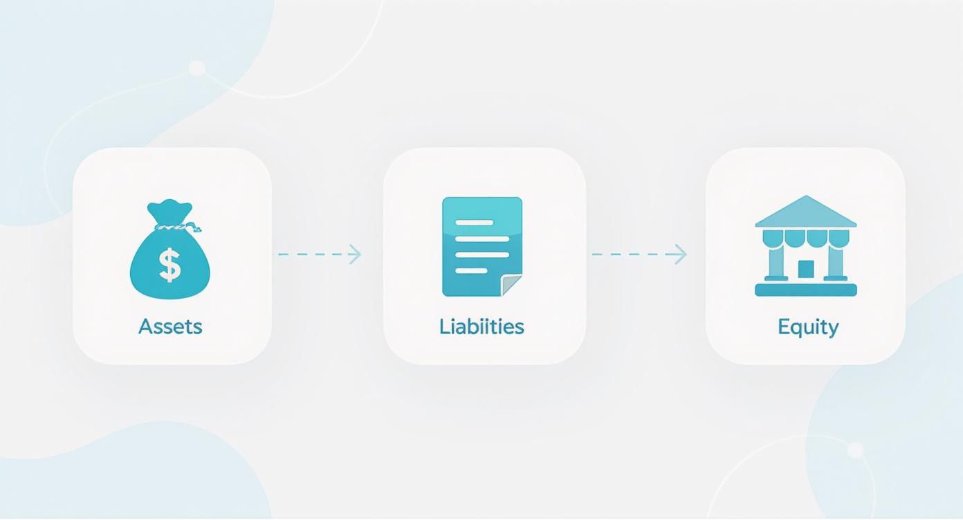 Infographic about balance sheet for small business