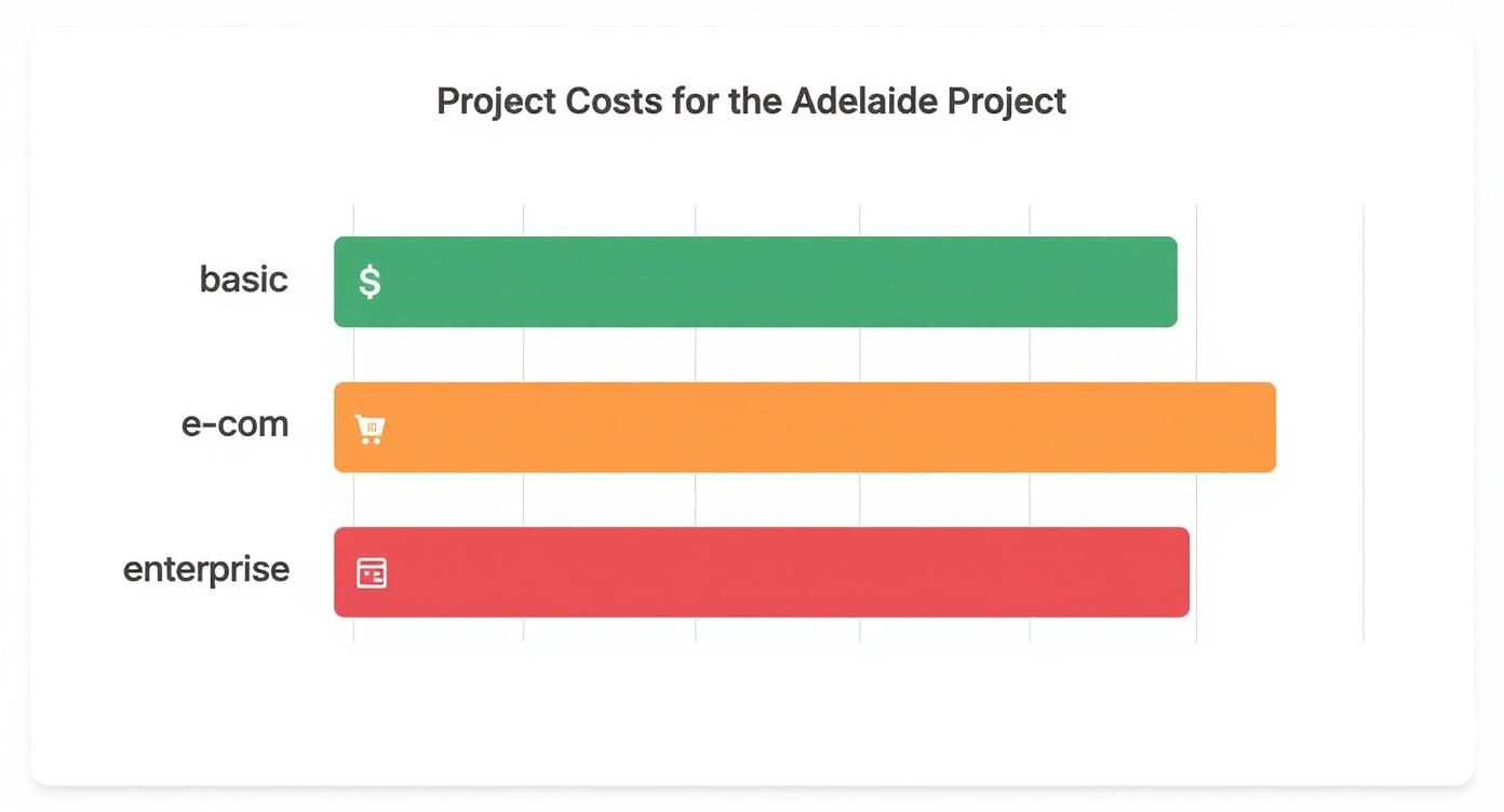 Infographic about web development adelaide