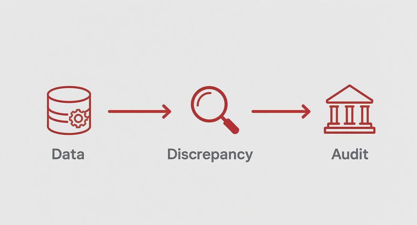Data analysis workflow diagram showing progression from database through discrepancy detection to audit process