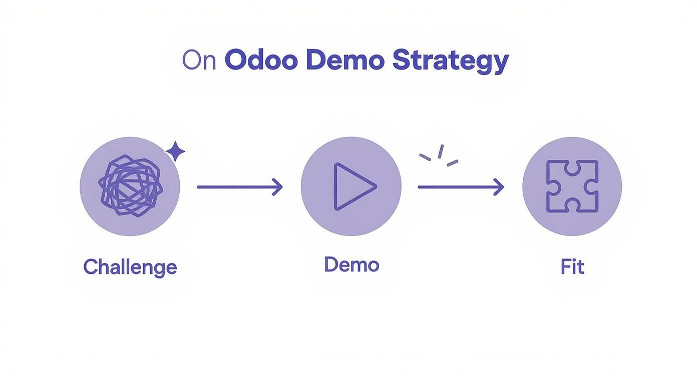 Infographic about odoo demo