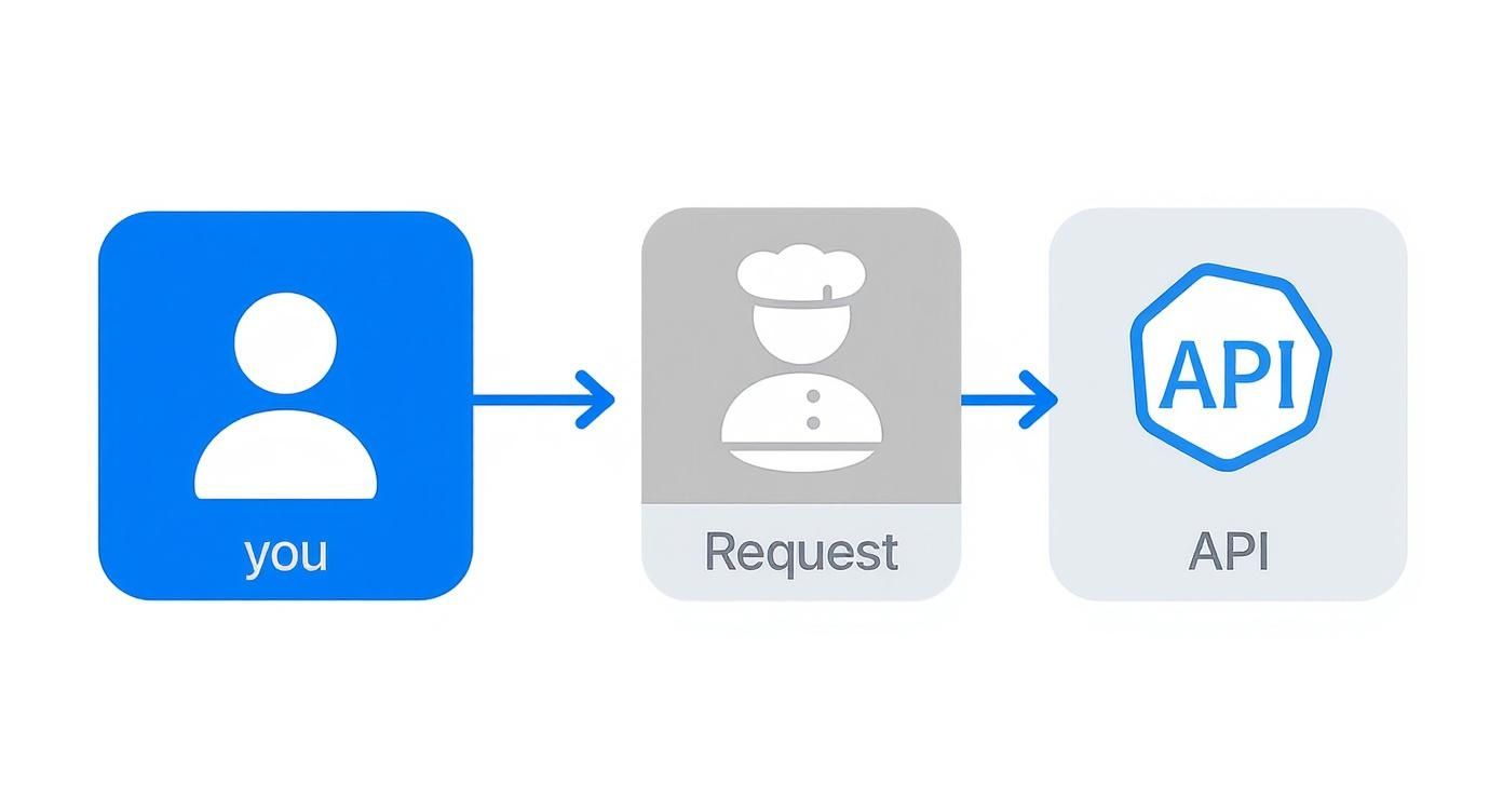 Infographic about what is api integration