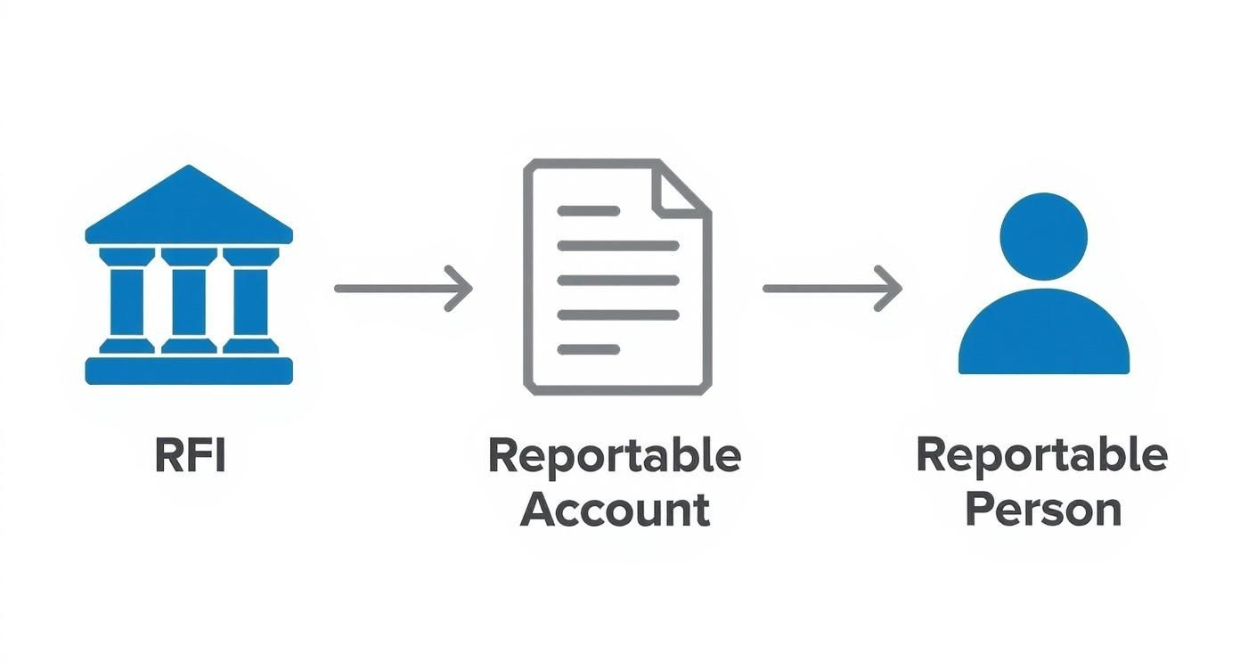 Diagram showing RFI (Reporting Financial Institution) linked to a Reportable Account and Reportable Person.