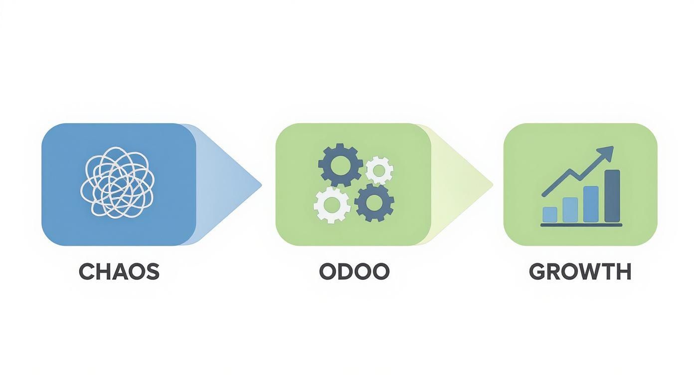 Infographic about erp system odoo