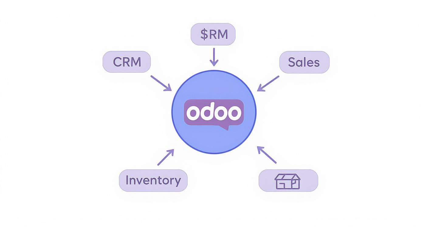 Infographic about What is Odoo software