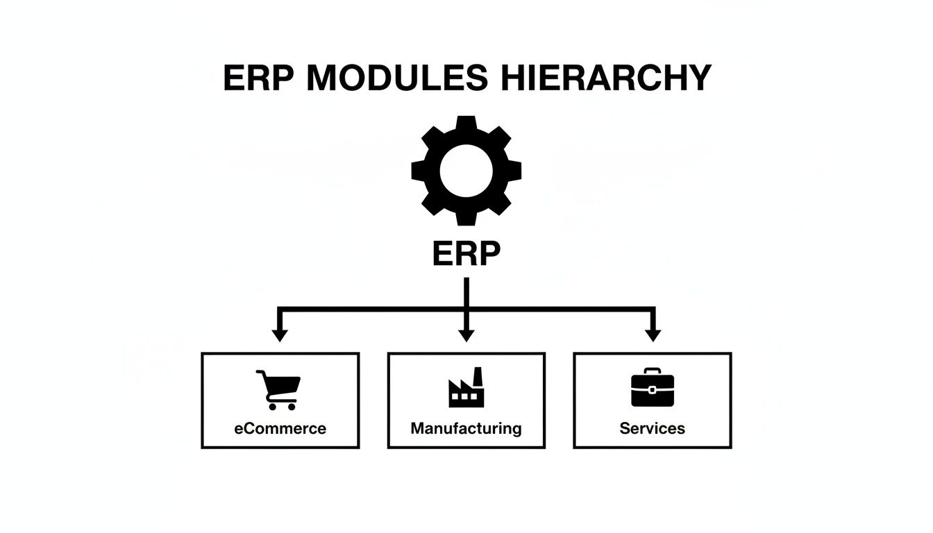 Diagram illustrating ERP modules hierarchy with ERP at the top, branching into eCommerce, Manufacturing, and Services.