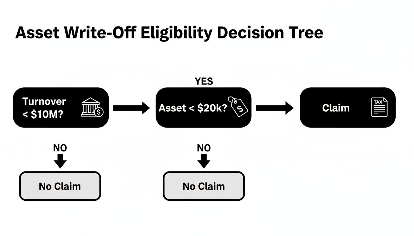 A decision tree flowchart outlining eligibility criteria for an asset write-off based on turnover and asset value.