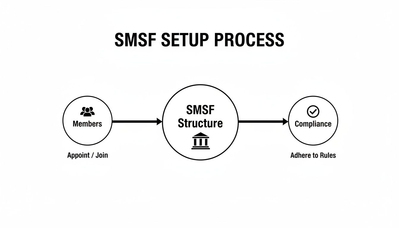 Flowchart illustrating the SMSF setup process, showing steps for Members, SMSF Structure, and Compliance.