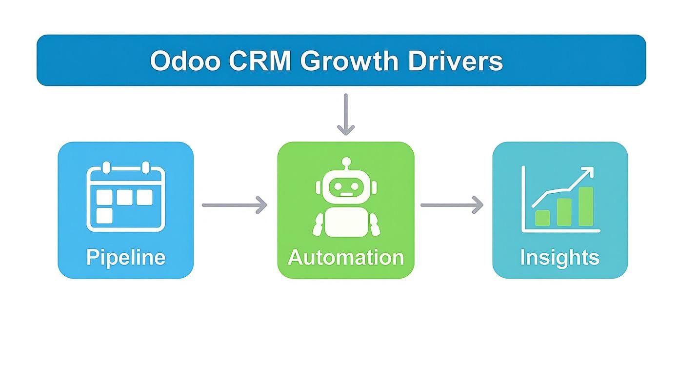 Infographic about odoo crm