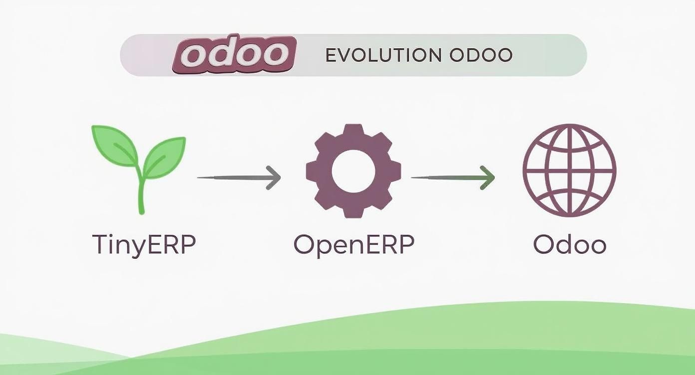 Infographic about open erp odoo