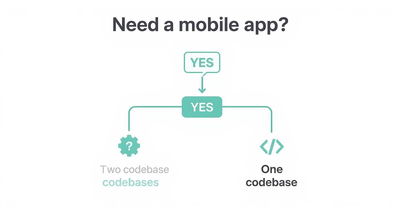 Infographic about multiplatform mobile app development