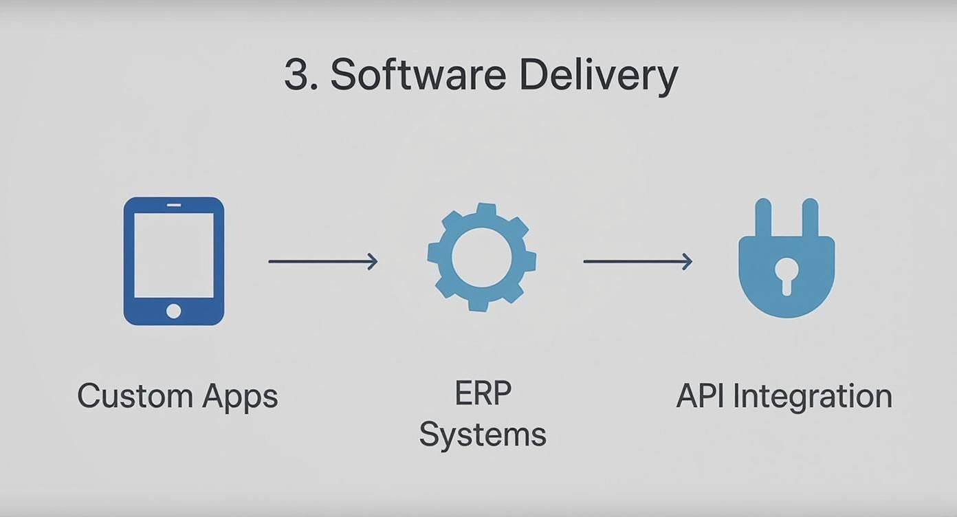 Infographic about custom software development company