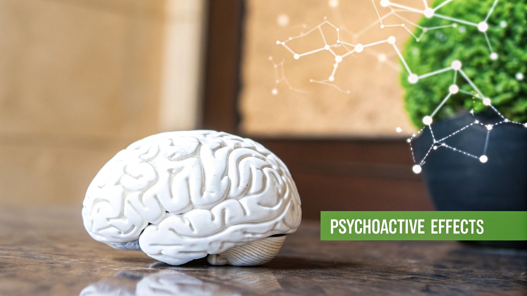 Psychoactive Effects