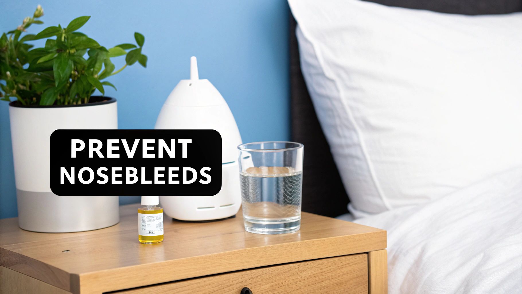 A bedside table with a plant, humidifier, liquid bottle, and water glass, next to a bed with text 'Prevent Nosebleeds'.