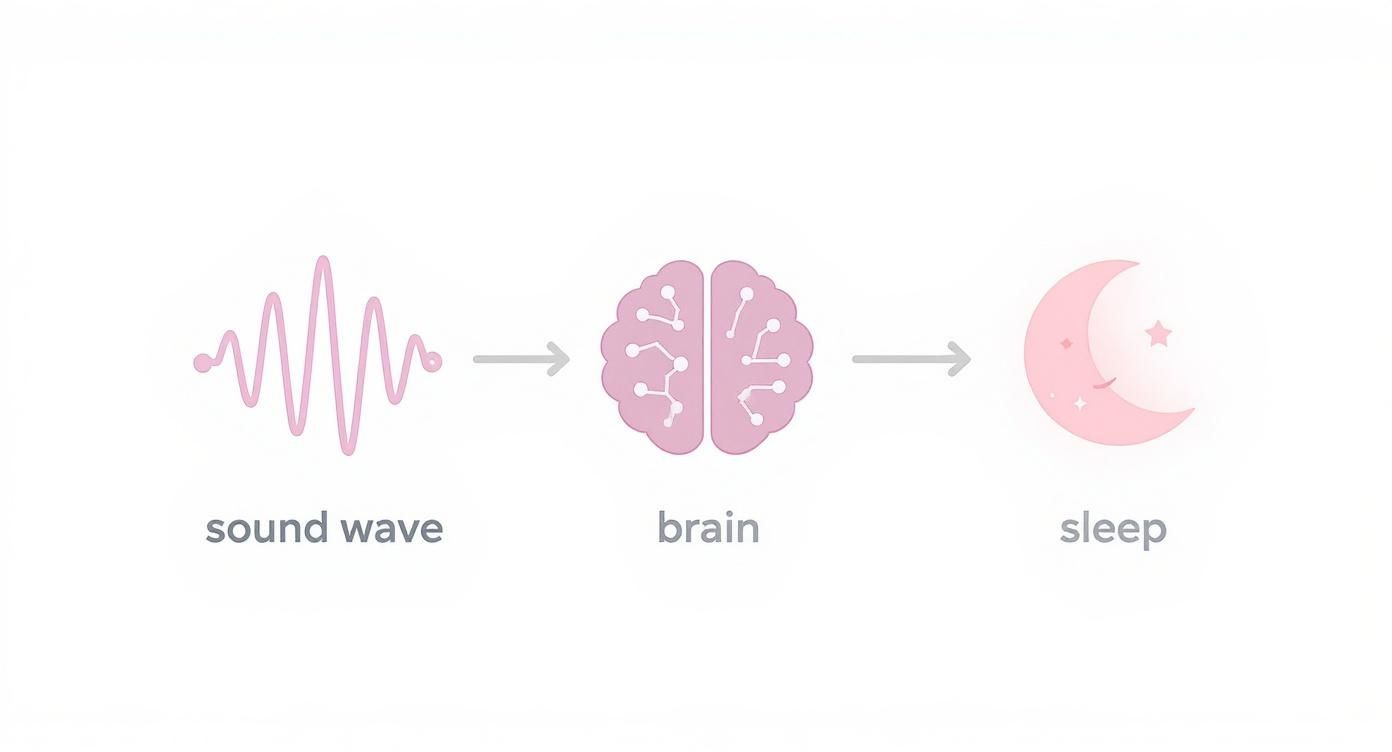 A diagram illustrates how pink sound waves can stimulate the brain to promote sleep.