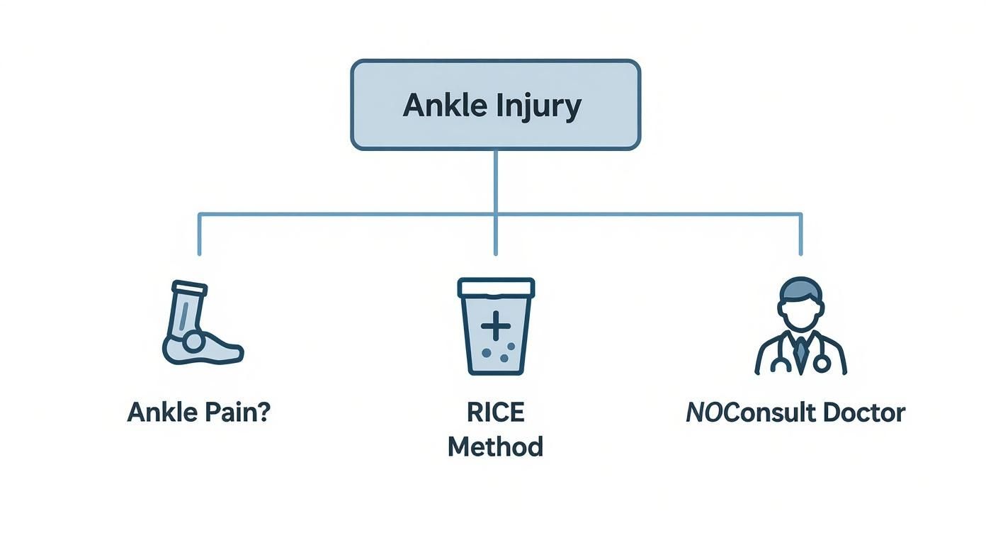 Flowchart detailing steps for ankle injury, including pain assessment, RICE method, and doctor consultation.