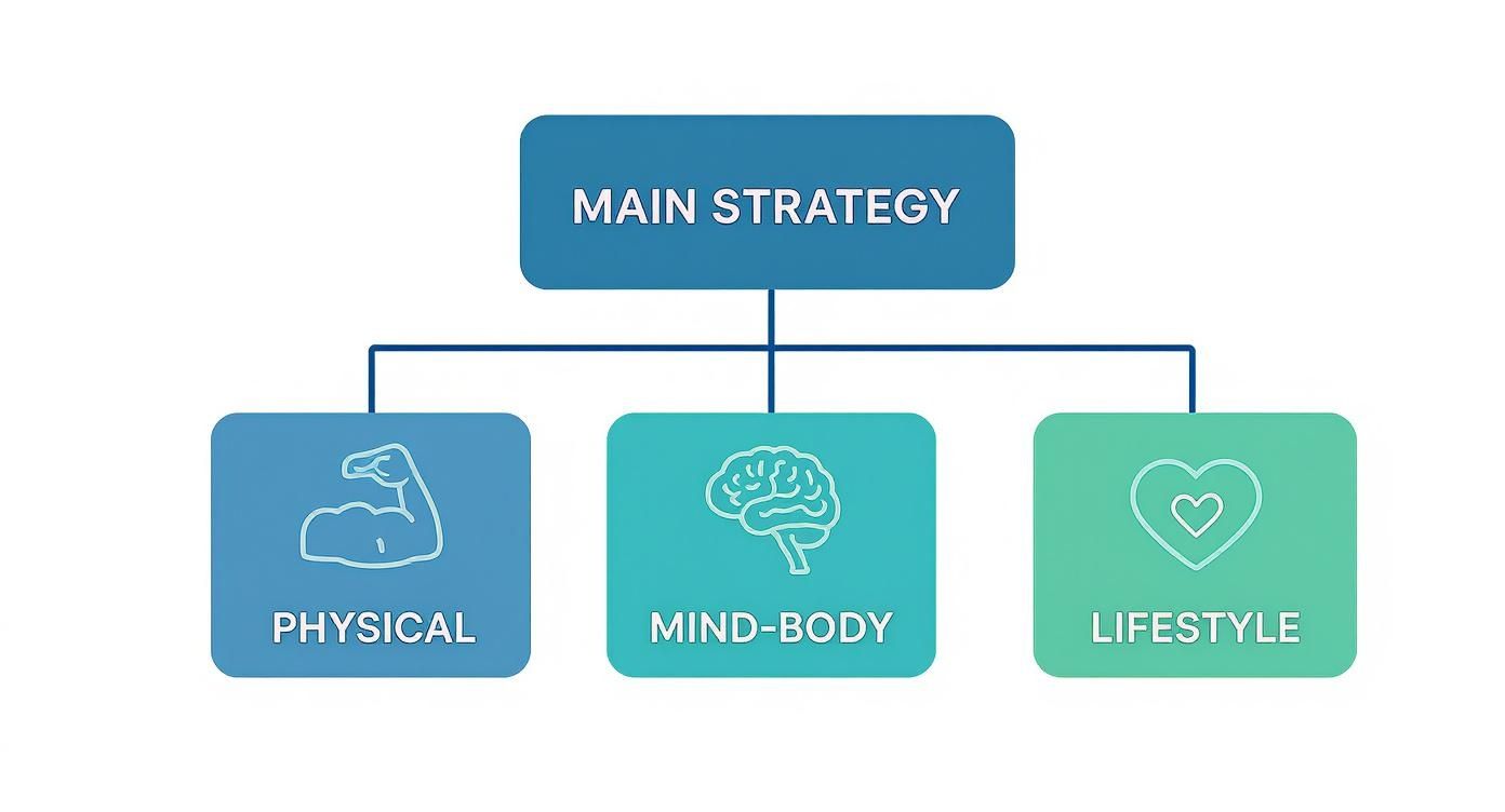 Holistic health strategy diagram showing three pillars: physical, mind-body, and lifestyle approaches