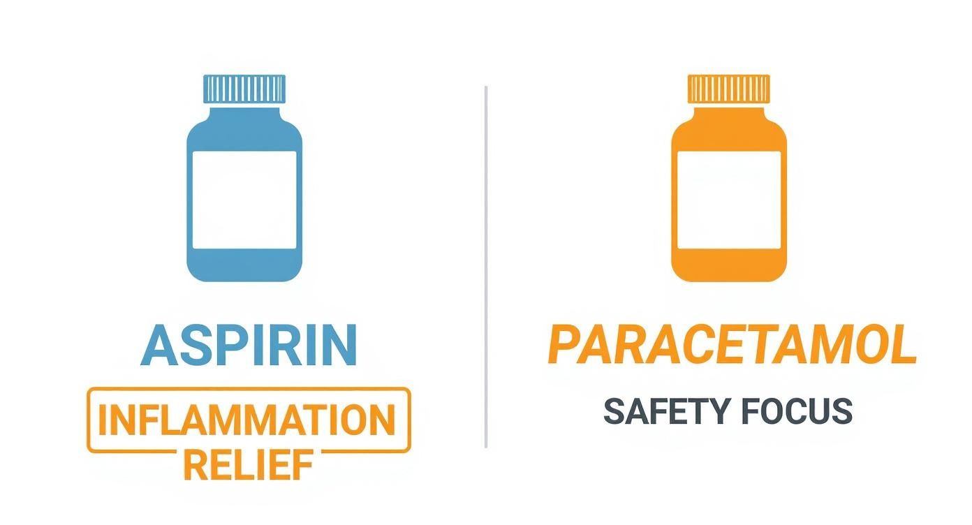 Comparison of aspirin for inflammation relief versus paracetamol with safety focus in medicine bottles