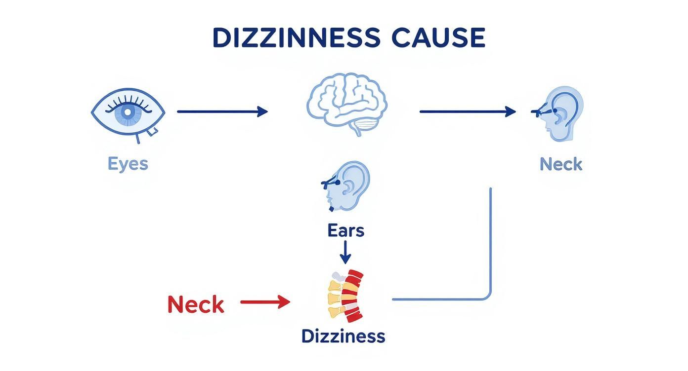 Diagram showing how eyes, ears, and neck problems can cause dizziness through brain pathways