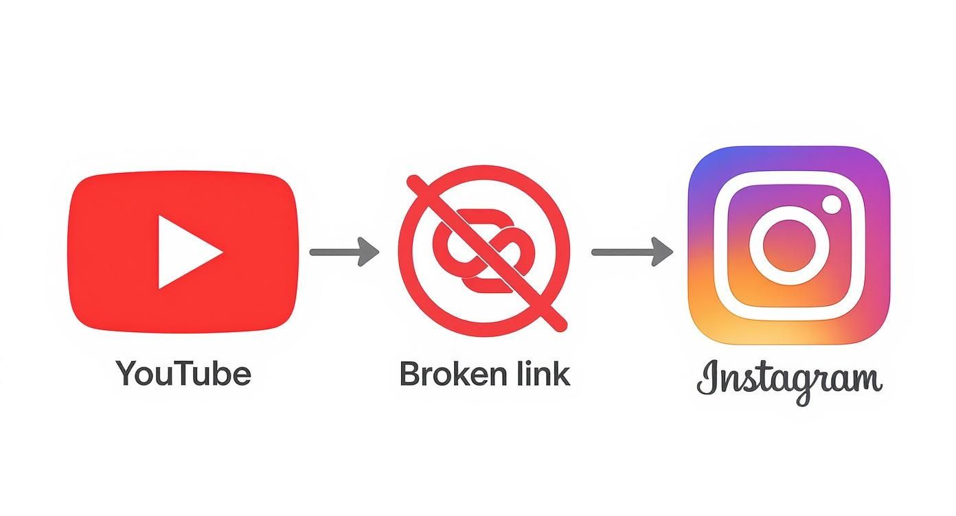 Infographic about how to share youtube videos on instagram