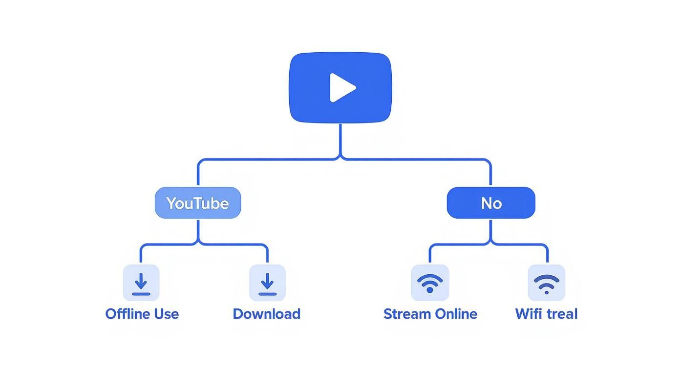 Flowchart detailing video consumption: YouTube offers offline use and download; other videos allow online streaming and Wifi treal.