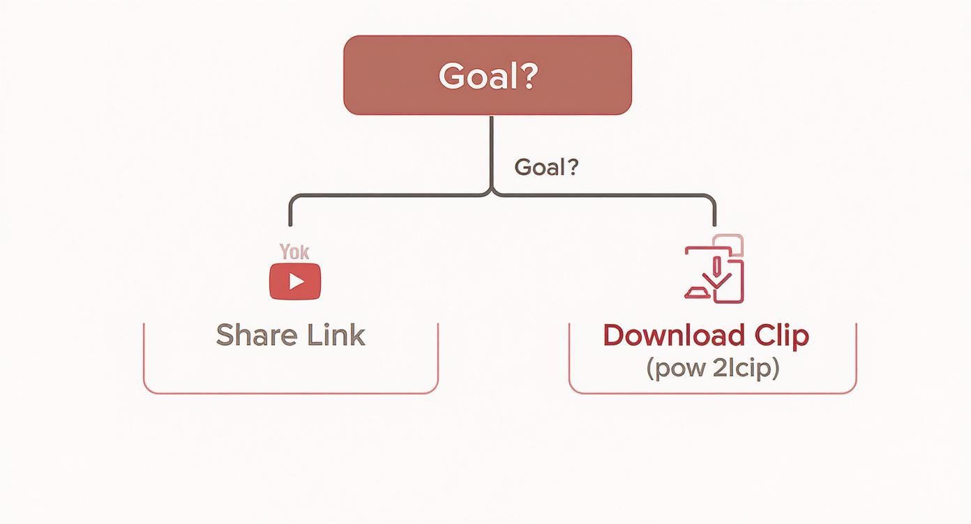 Infographic about how to take clips from a youtube video