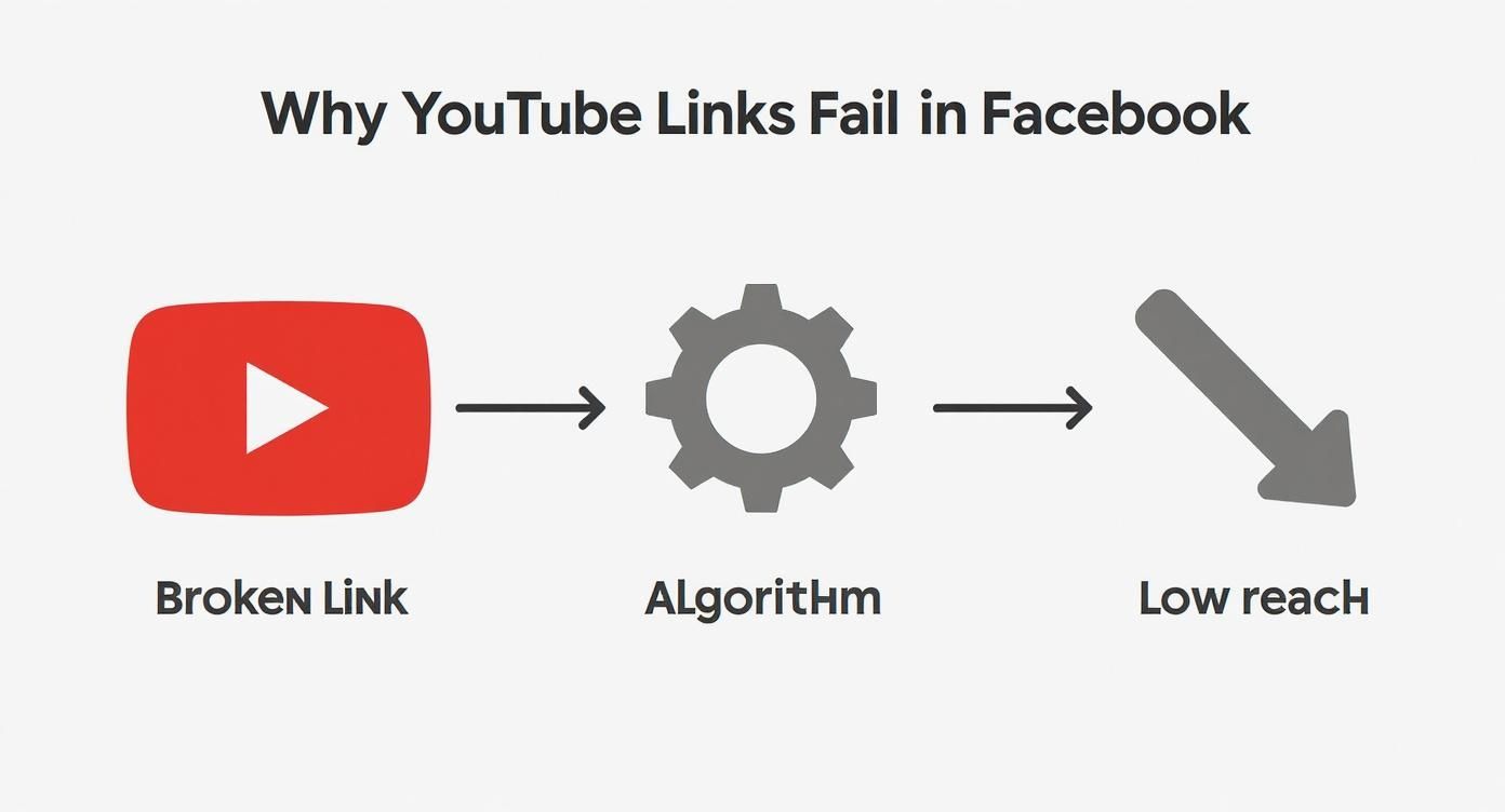 Infographic about how to post youtube video on facebook