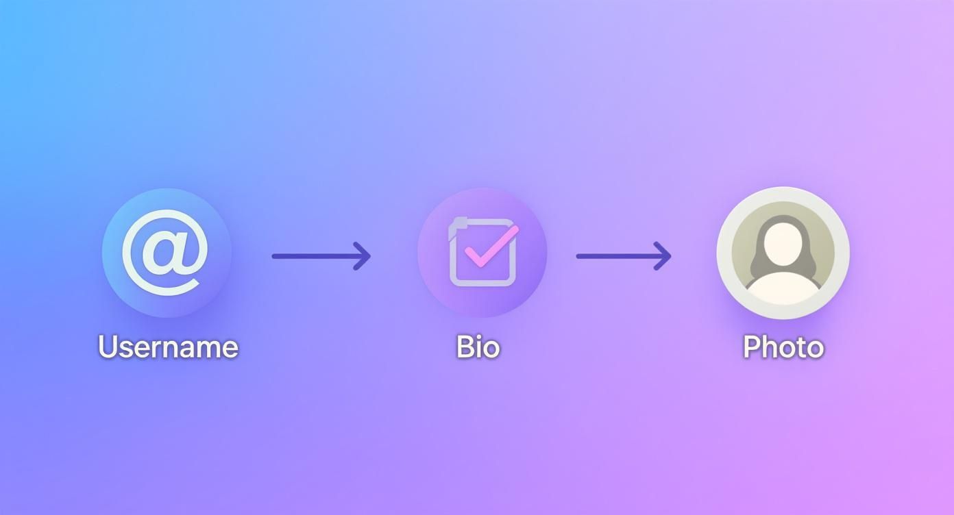 Infographic about how to grow organic instagram followers