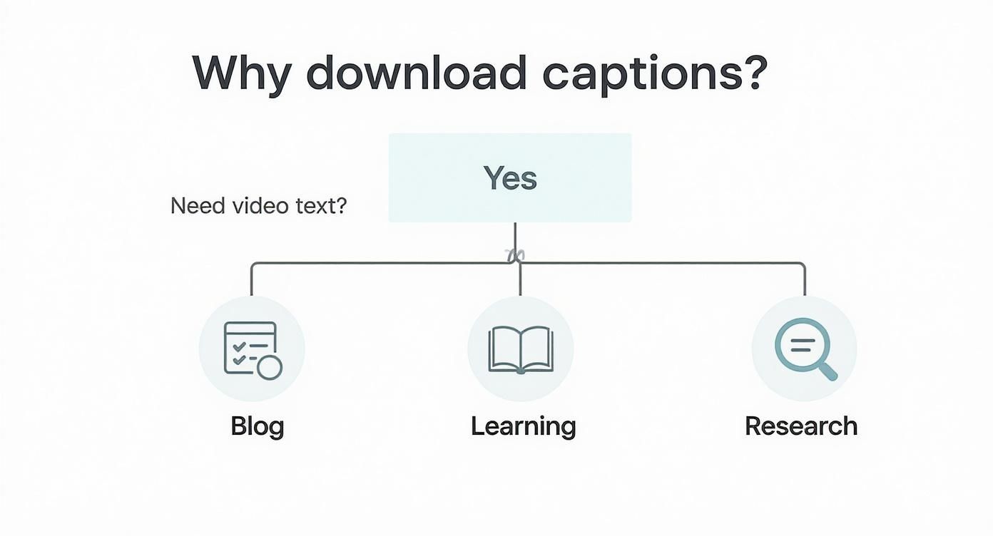Flowchart showing three reasons to download video captions: blog writing, learning purposes, and research activities