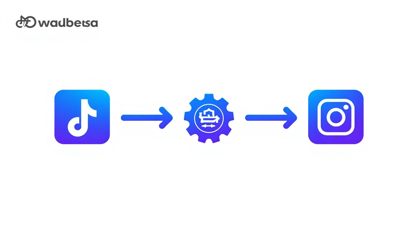 Infographic about how to share tiktok to instagram