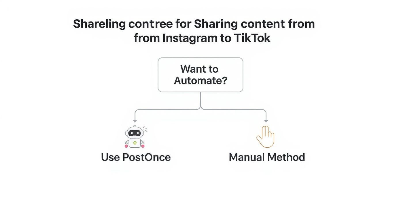 Infographic about how to share instagram to tiktok