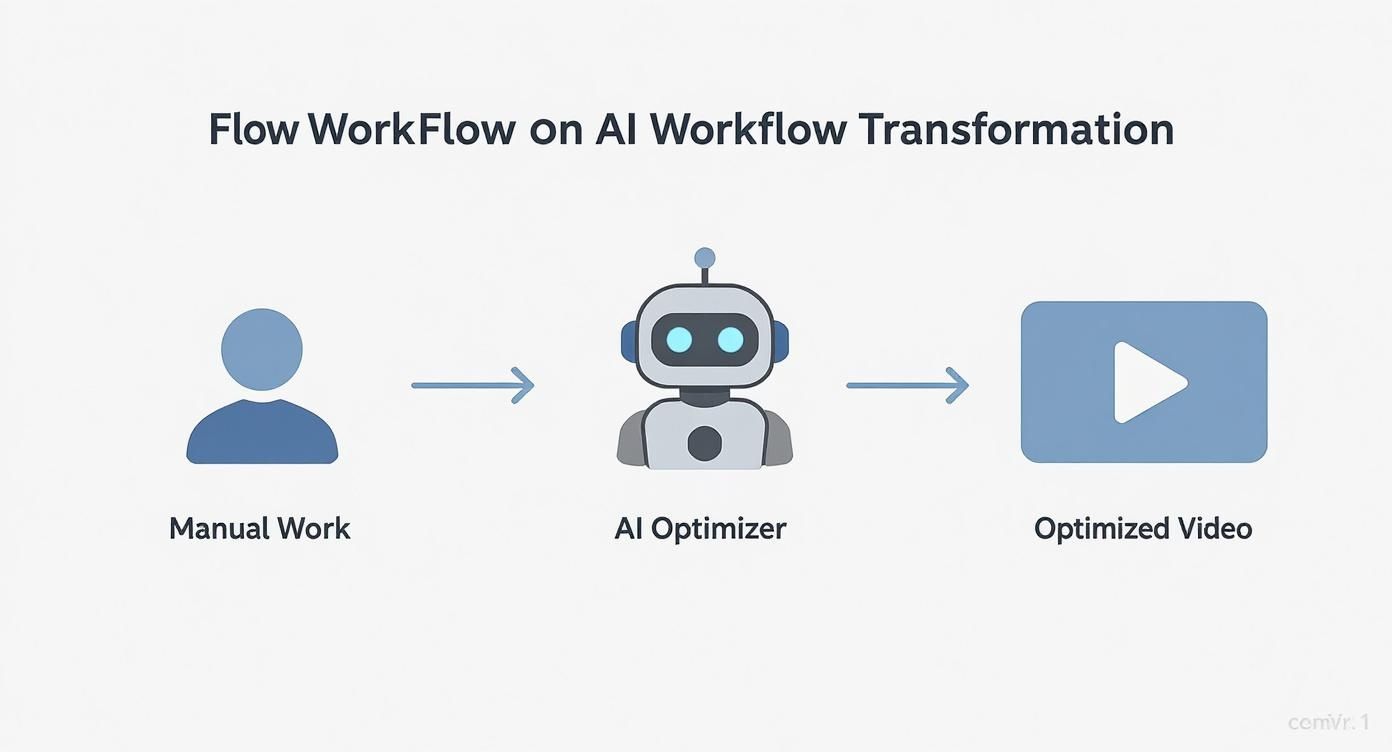 Infographic about youtube video optimizer