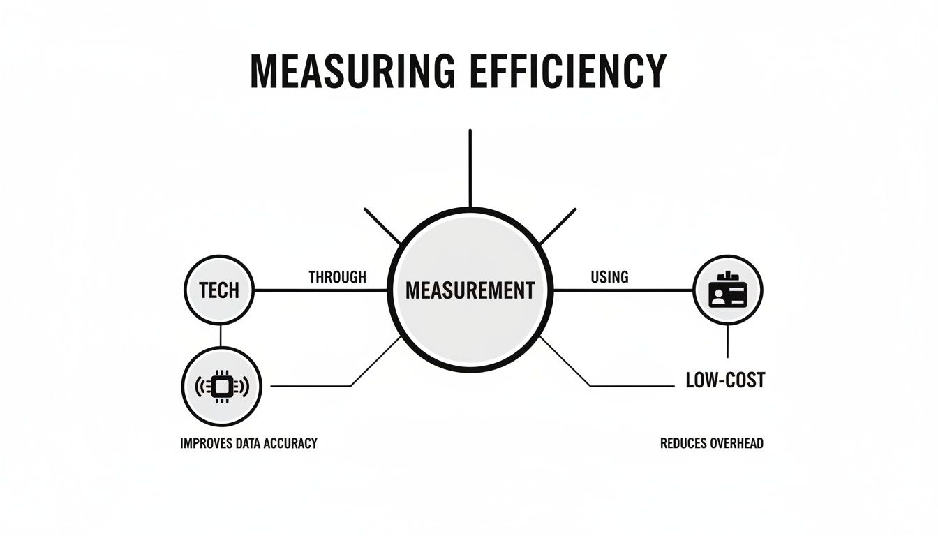Diagram 'Measuring Efficiency' shows Measurement at center, connecting Tech for data accuracy and Low-Cost for reduced overhead.