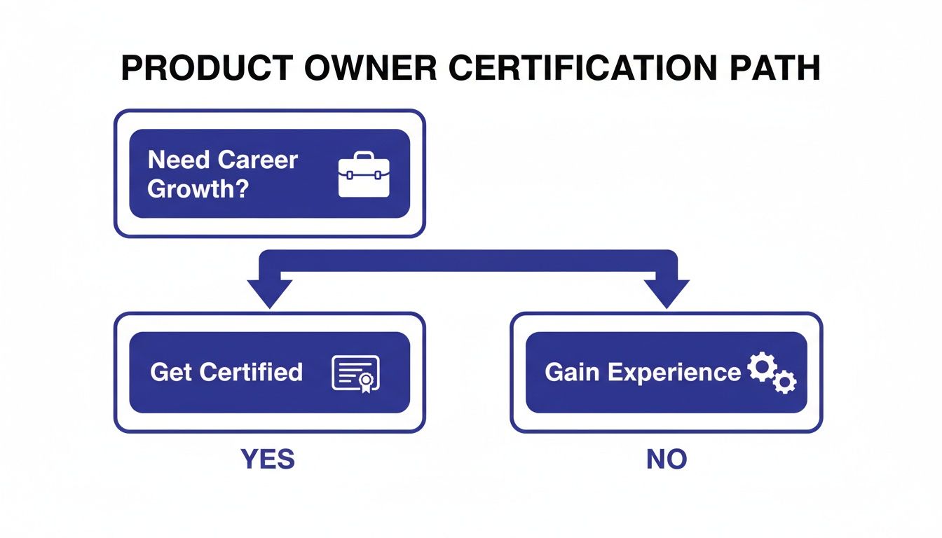 Flowchart illustrating the product owner certification path for career growth, with options to get certified or gain experience.