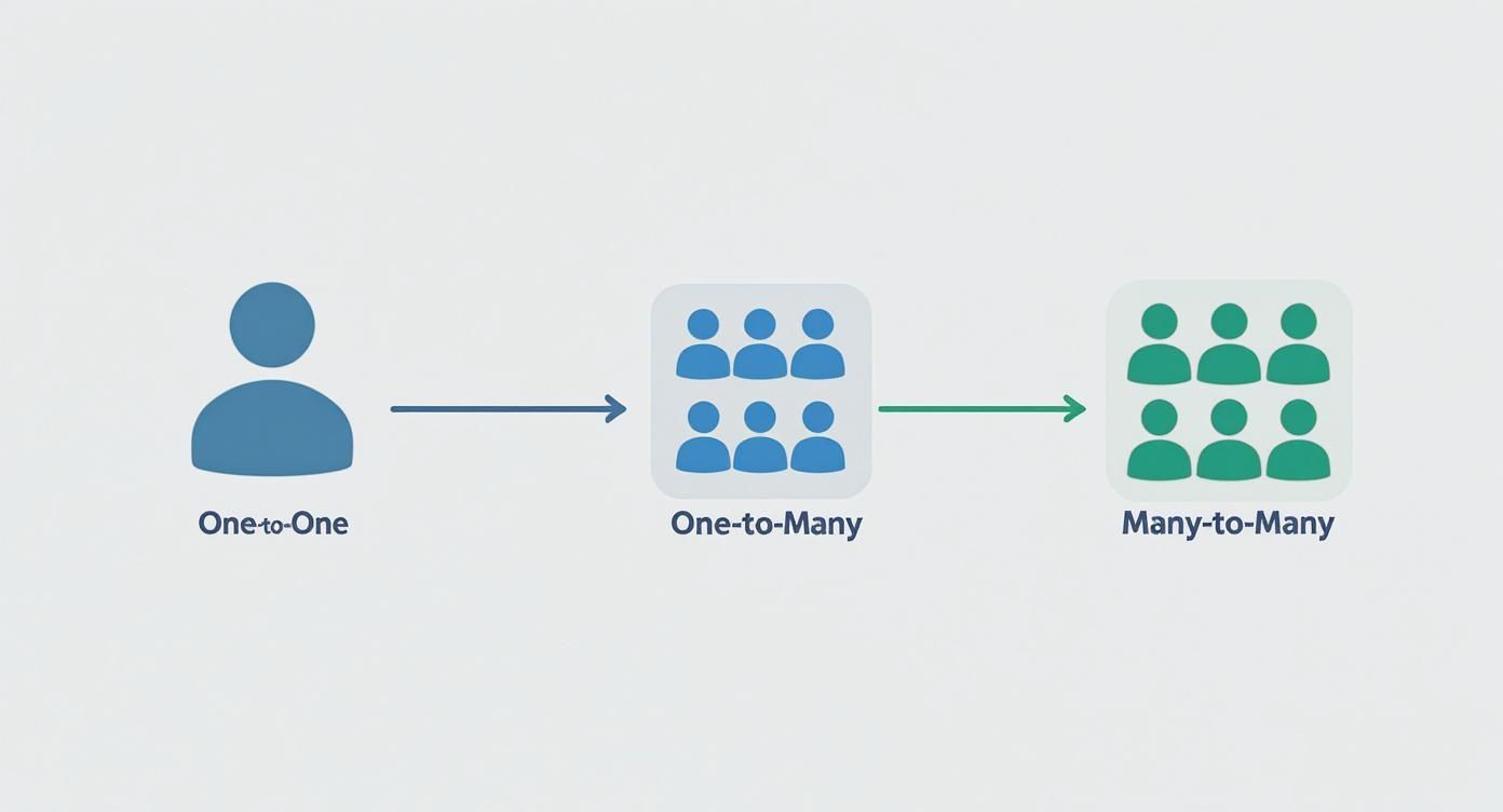 Infographic about what is entity relationship