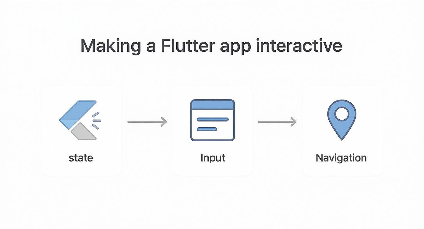 Infographic detailing the process of making a Flutter app interactive, showing steps for state, input, and navigation.