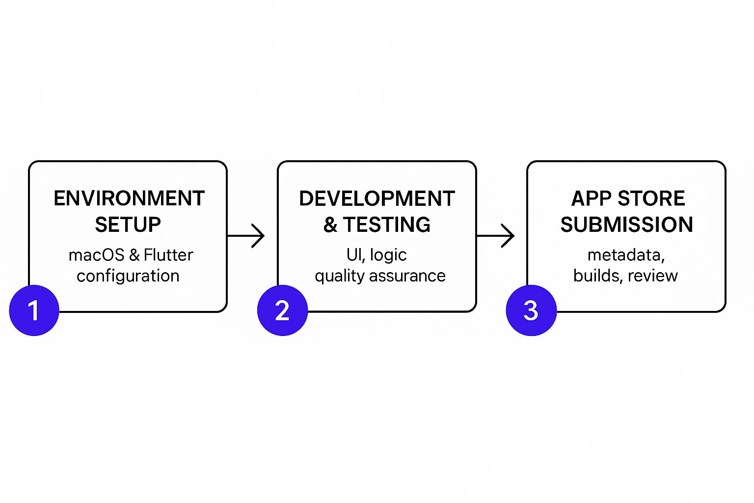 Infographic about develop ios application