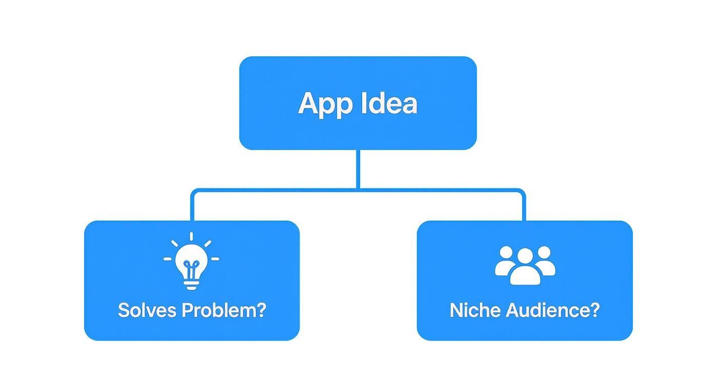 Flowchart illustrating an app idea with two key questions: 'Solves Problem?' and 'Niche Audience?'.