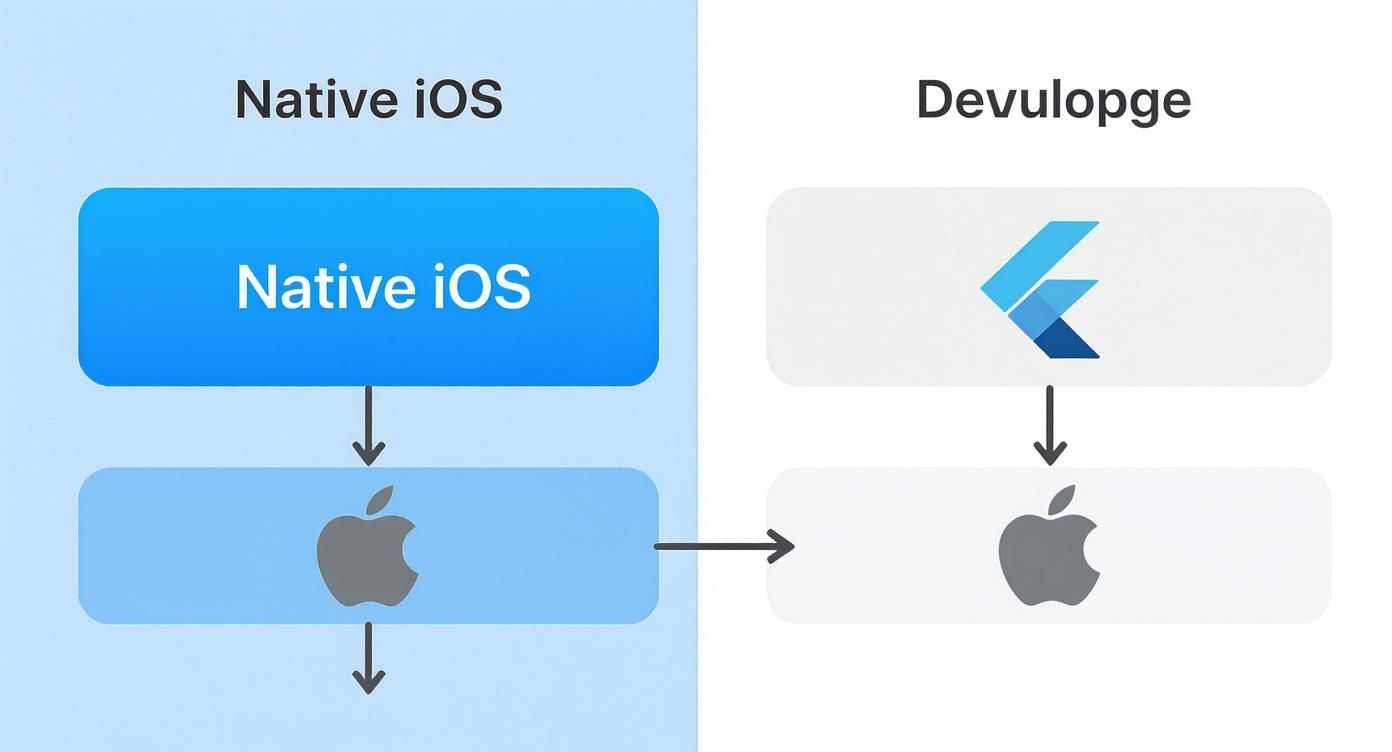A diagram comparing Native iOS application development to Devulopge (likely Flutter) for Apple devices.