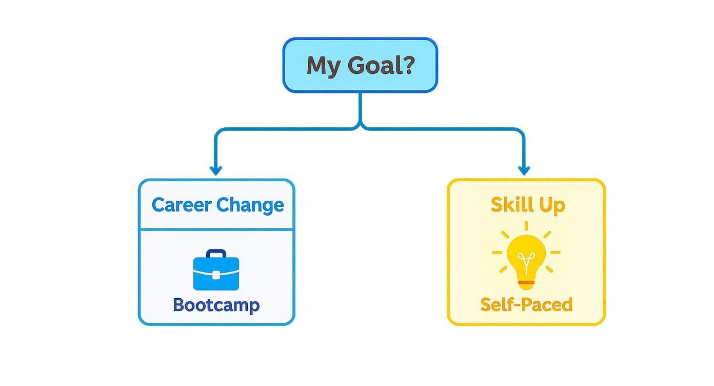 Infographic decision tree for choosing an online UX design course based on your goal, either 'Career Change' leading to a Bootcamp, or 'Skill Up' leading to a Self-Paced course.