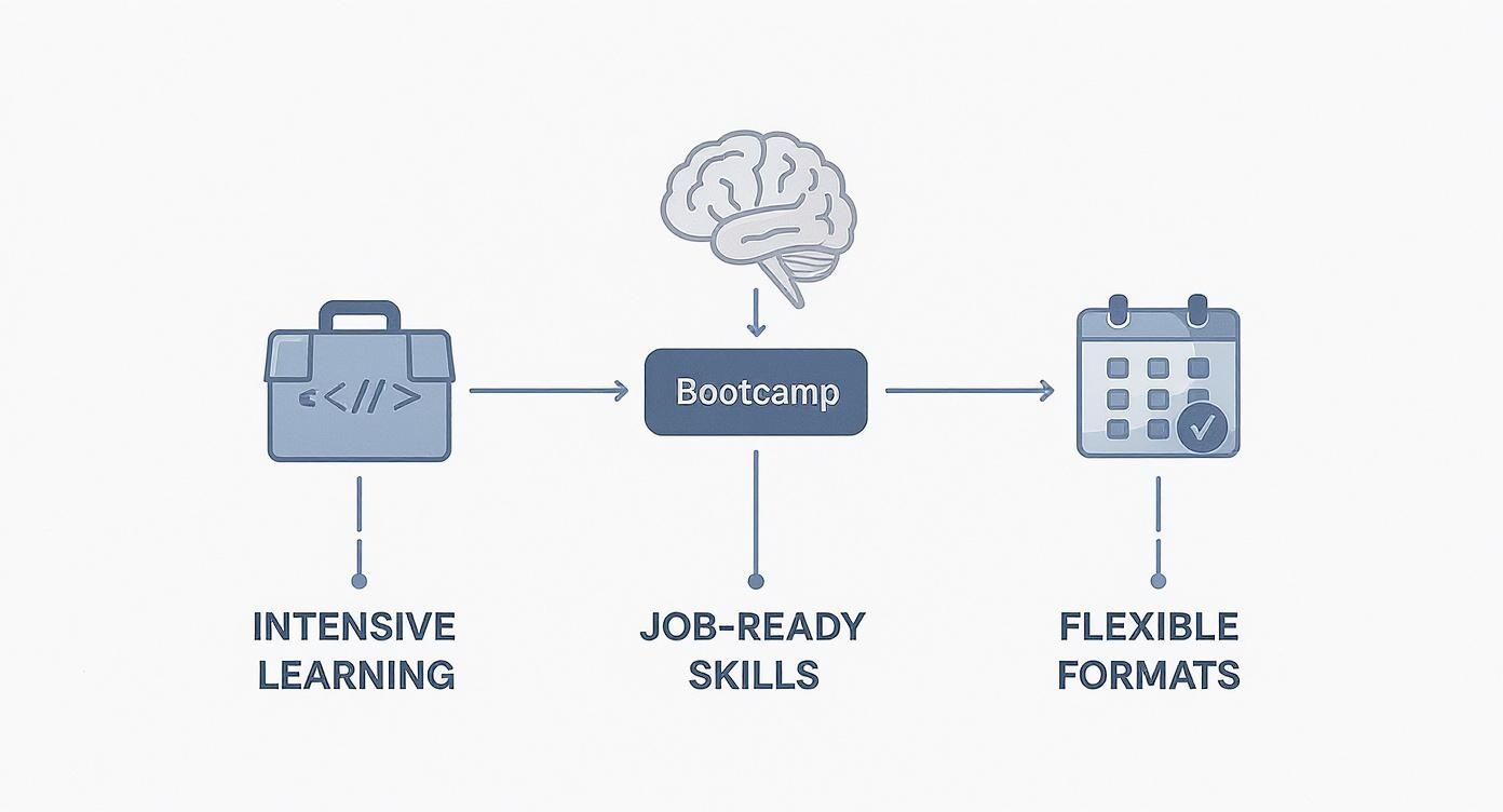 A diagram illustrating the benefits of a bootcamp, including intensive learning, job-ready skills, and flexible formats.