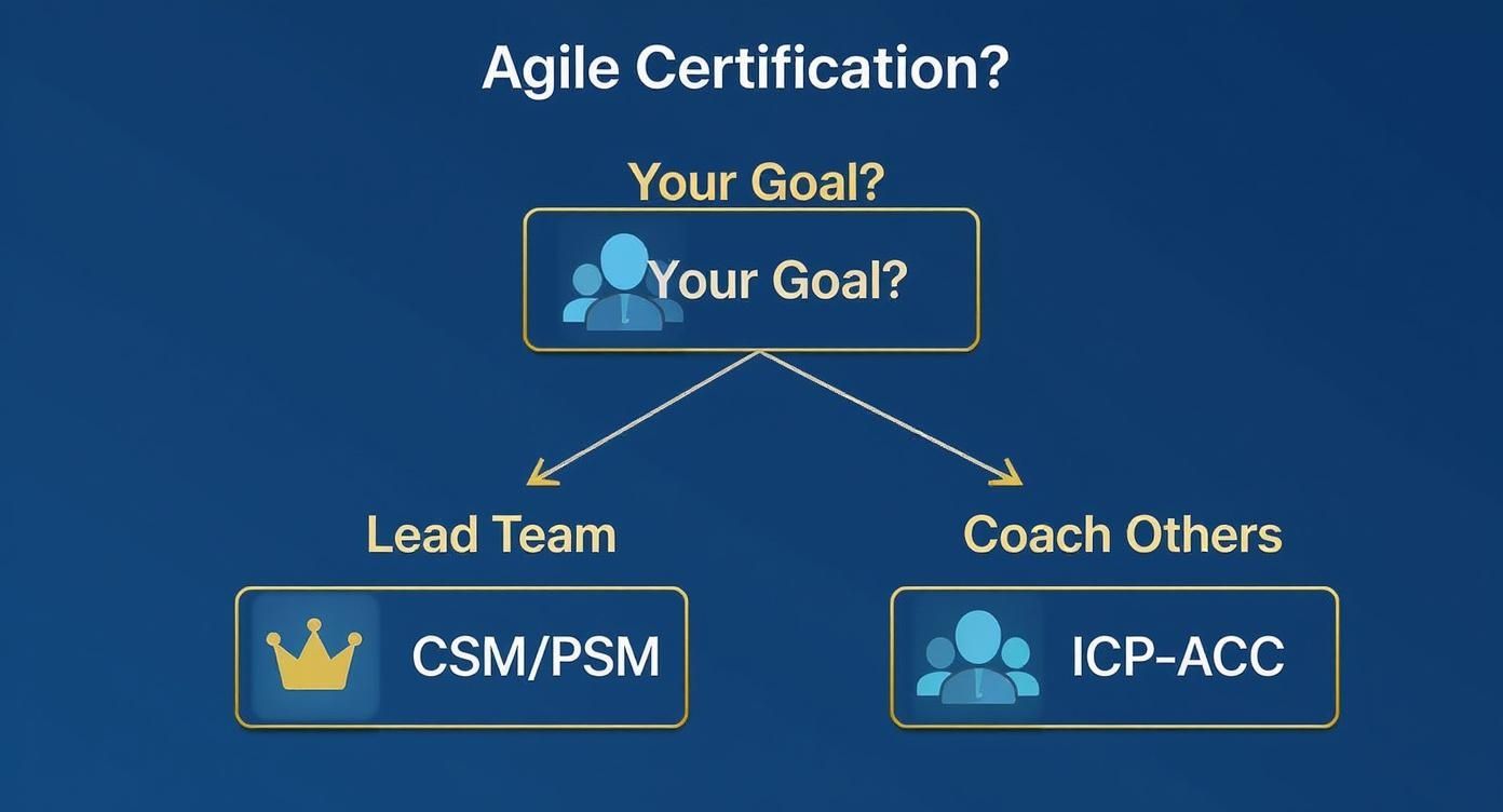 Flowchart on Agile certification goals: Lead Team (CSM/PSM) or Coach Others (ICP-ACC).