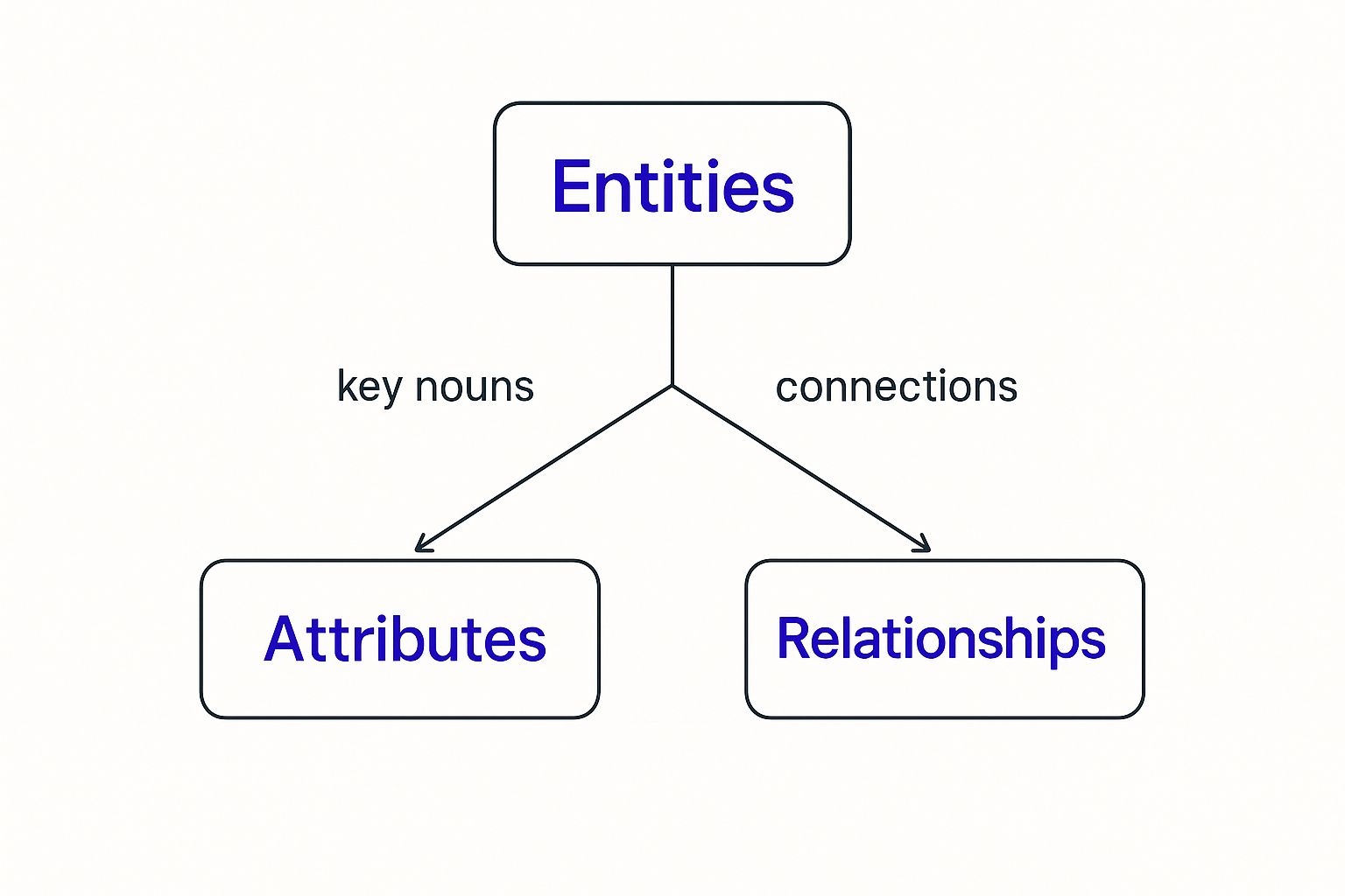 Infographic about what is the erd
